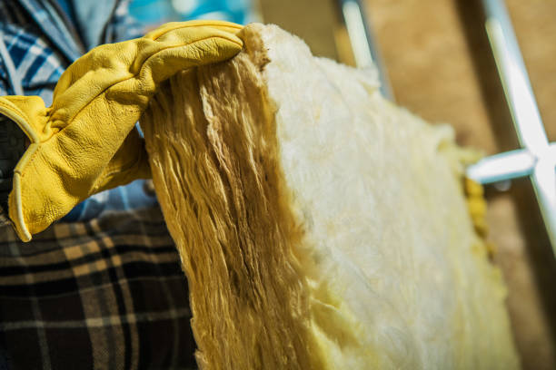 Best Residential Insulation in Phoenix, IL