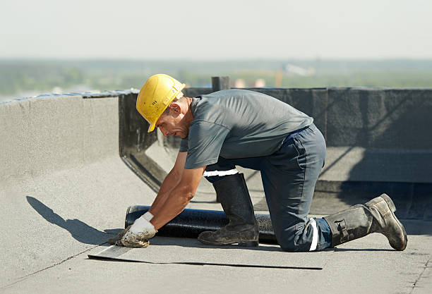 Best Specialty Insulation in Phoenix, IL
